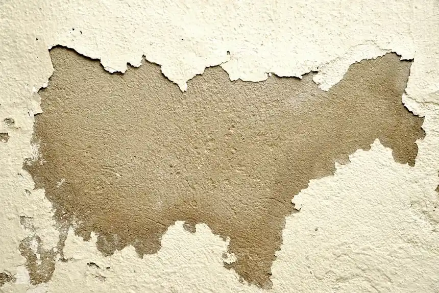 Comparing water damage restoration services in Augusta
